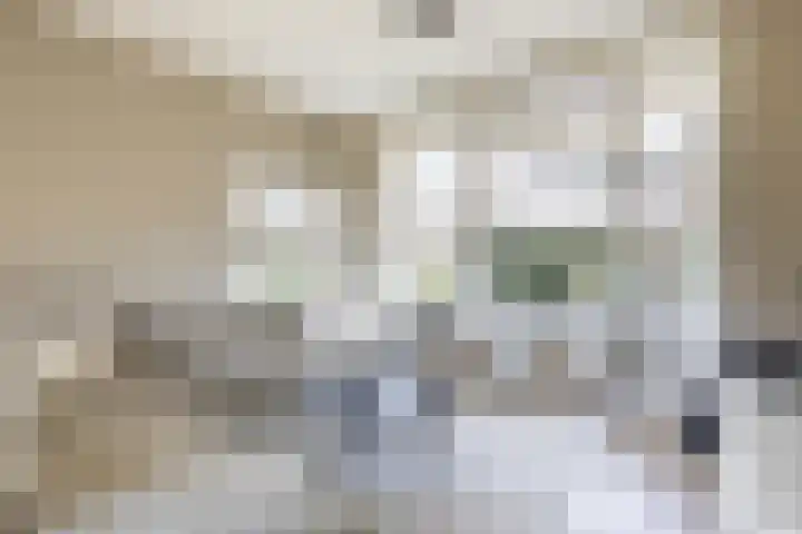 Lijsterbeslaan 35 Beverwijk thumbnail 6