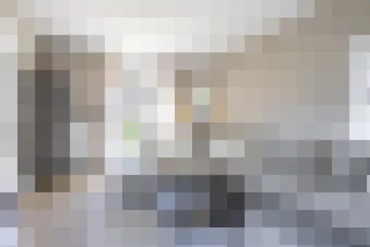 Lijsterbeslaan 35 Beverwijk thumbnail 7