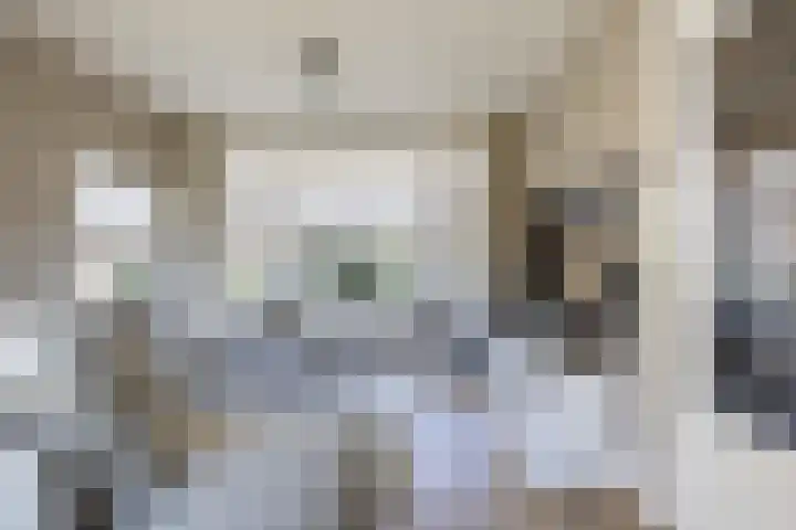 Lijsterbeslaan 35 Beverwijk thumbnail 9