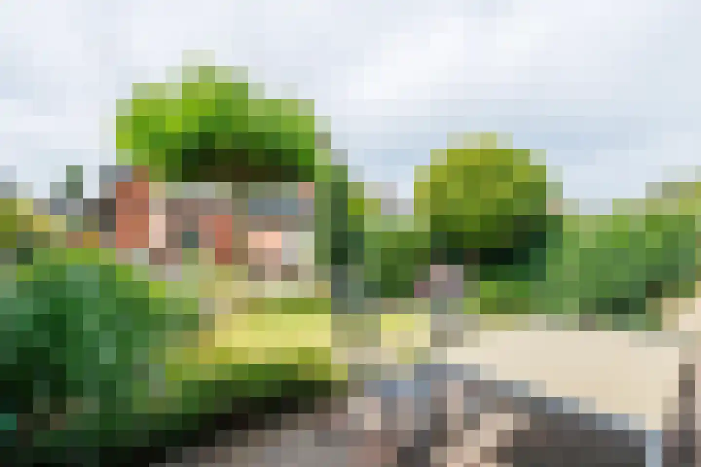 Lijsterbeslaan 35 Doetinchem thumbnail 20