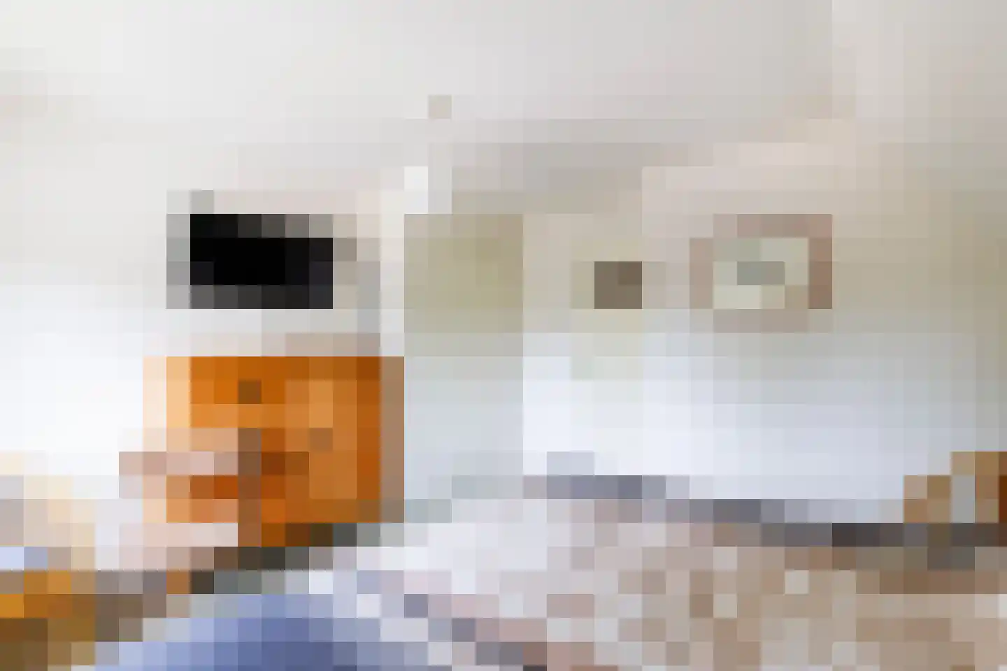 Lijsterbeslaan 35 Doetinchem thumbnail 30