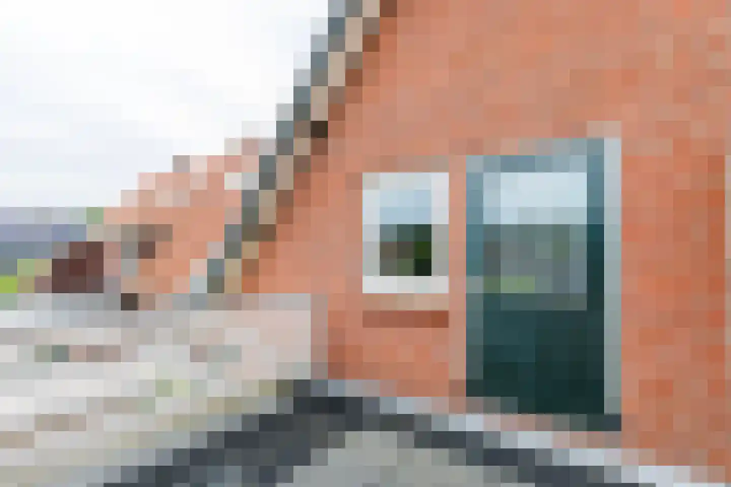 Lijsterbeslaan 35 Doetinchem thumbnail 33