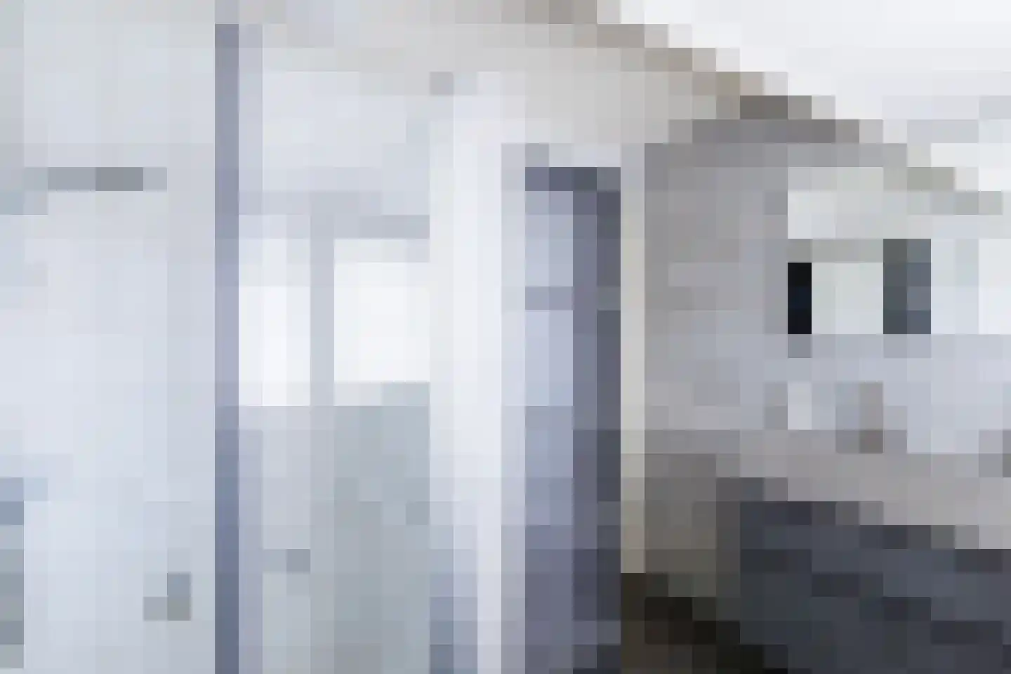 Lijsterbeslaan 35 Doetinchem thumbnail 37