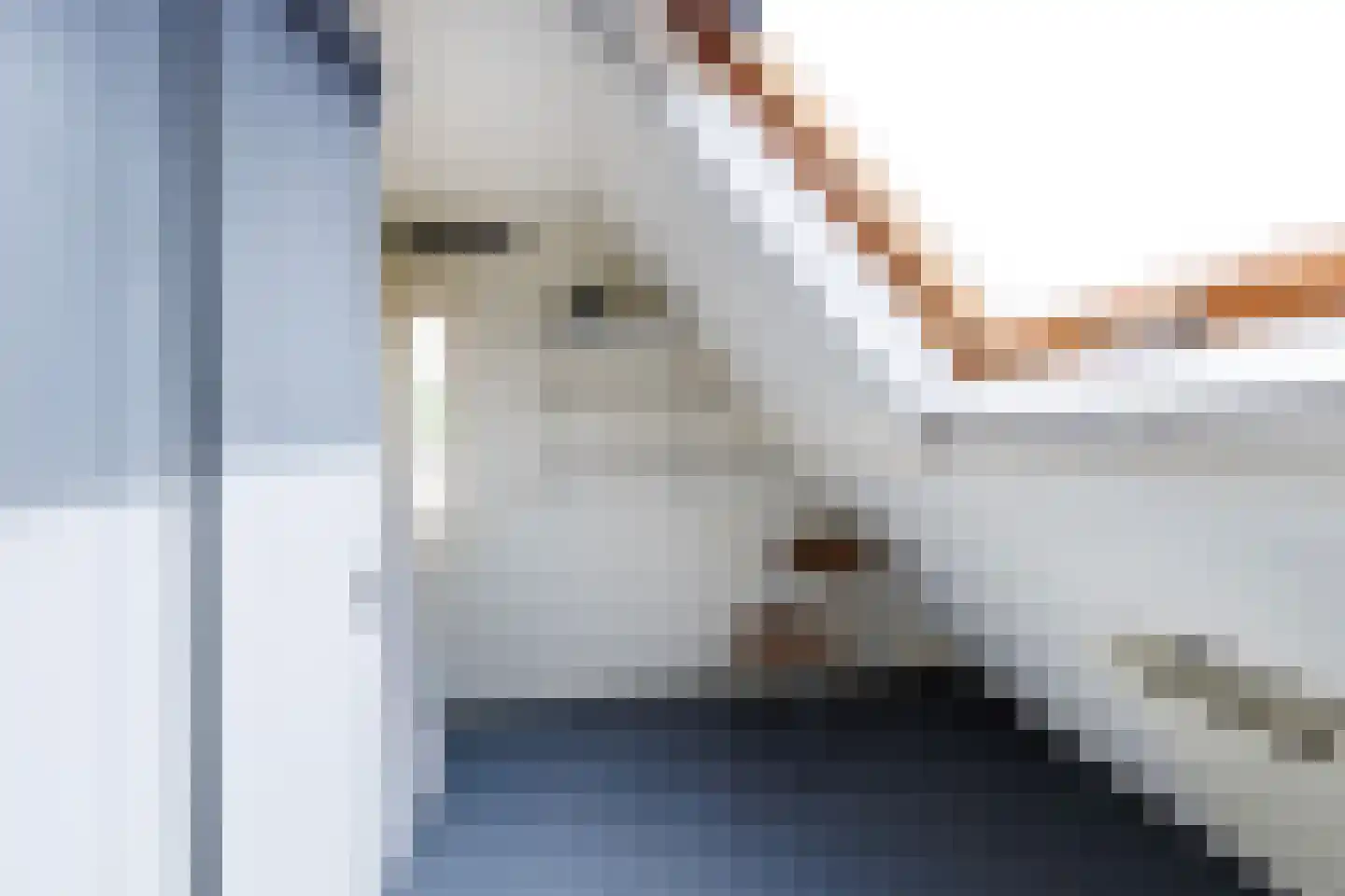 Lijsterbeslaan 35 Doetinchem thumbnail 41