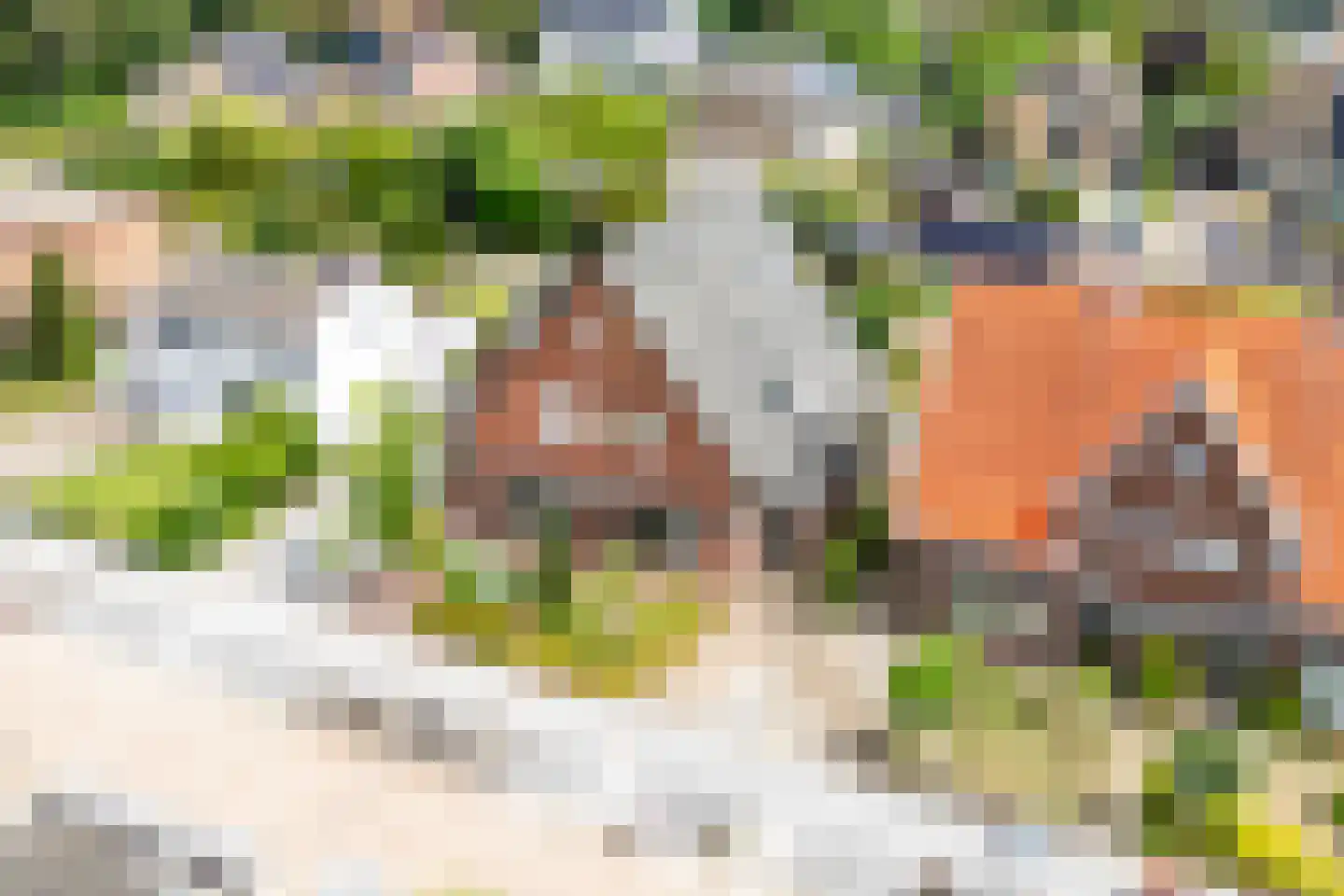 Lijsterbeslaan 35 Doetinchem thumbnail 45