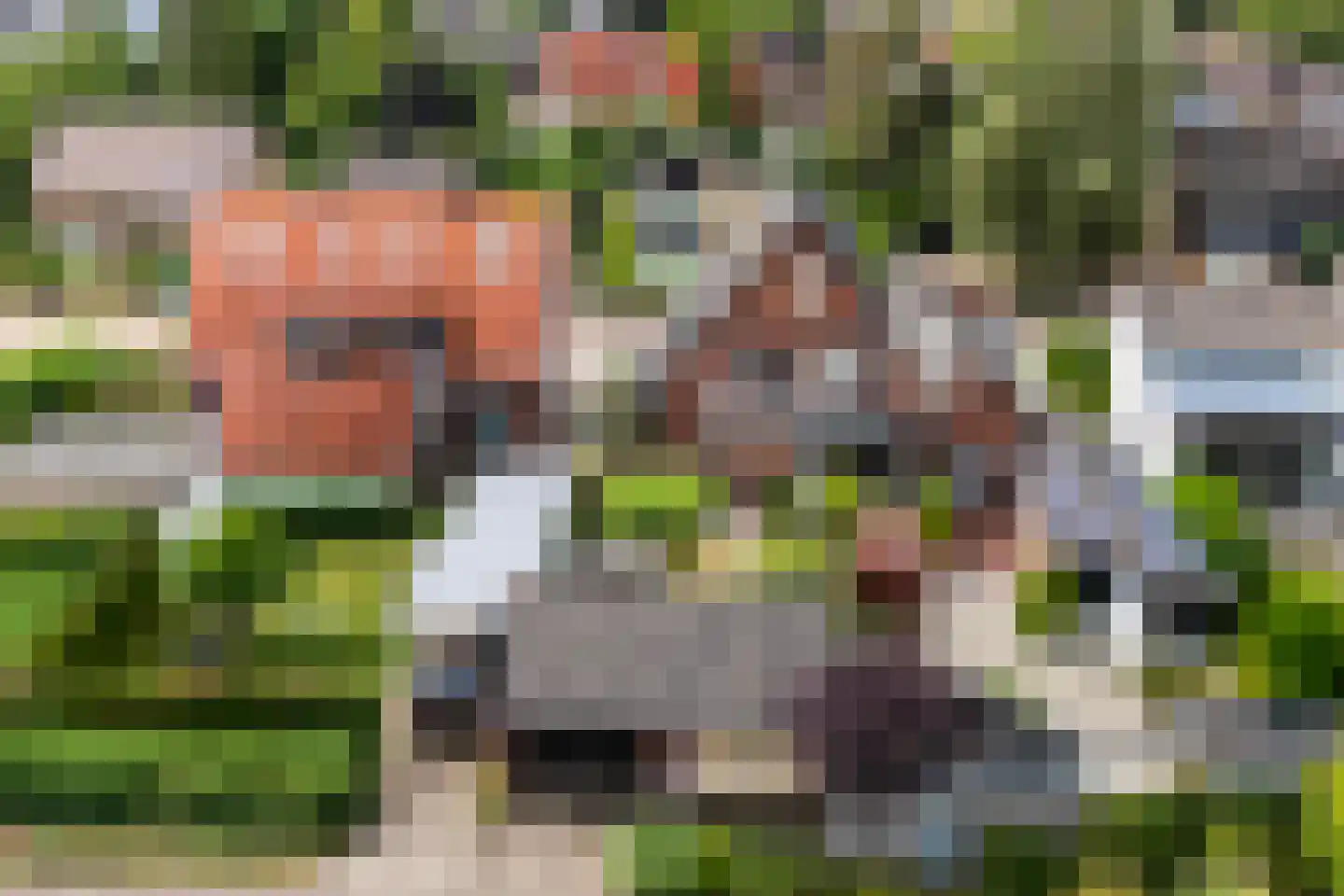 Lijsterbeslaan 35 Doetinchem thumbnail 47