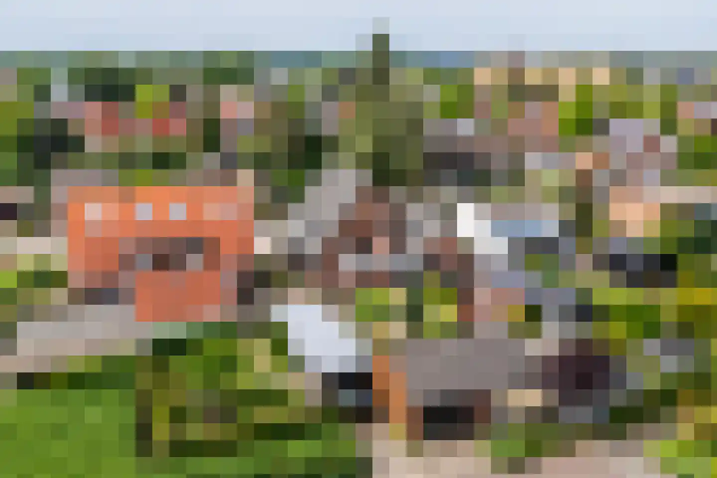 Lijsterbeslaan 35 Doetinchem thumbnail 48