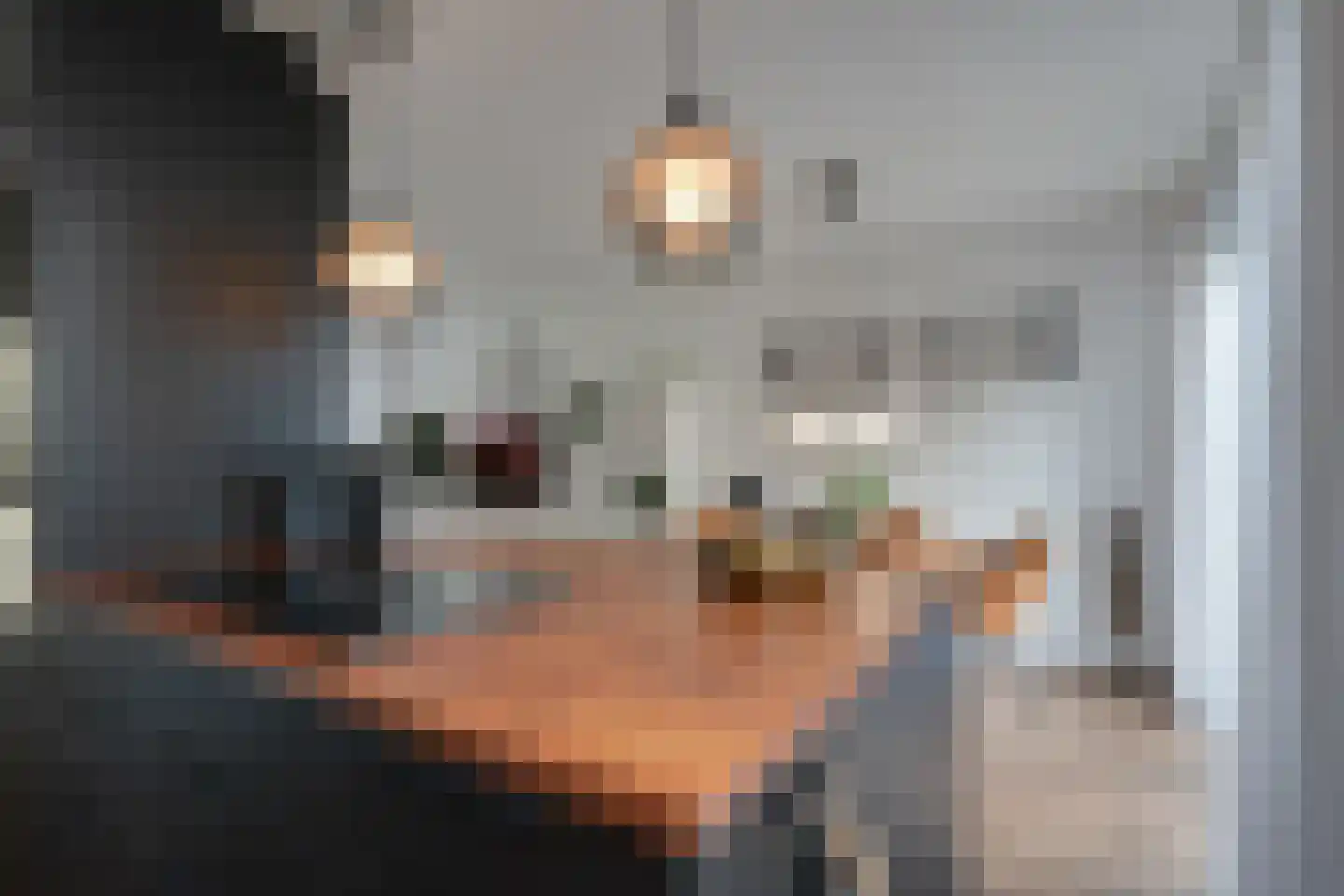 Lijsterbeslaan 35 Oudorp thumbnail 14