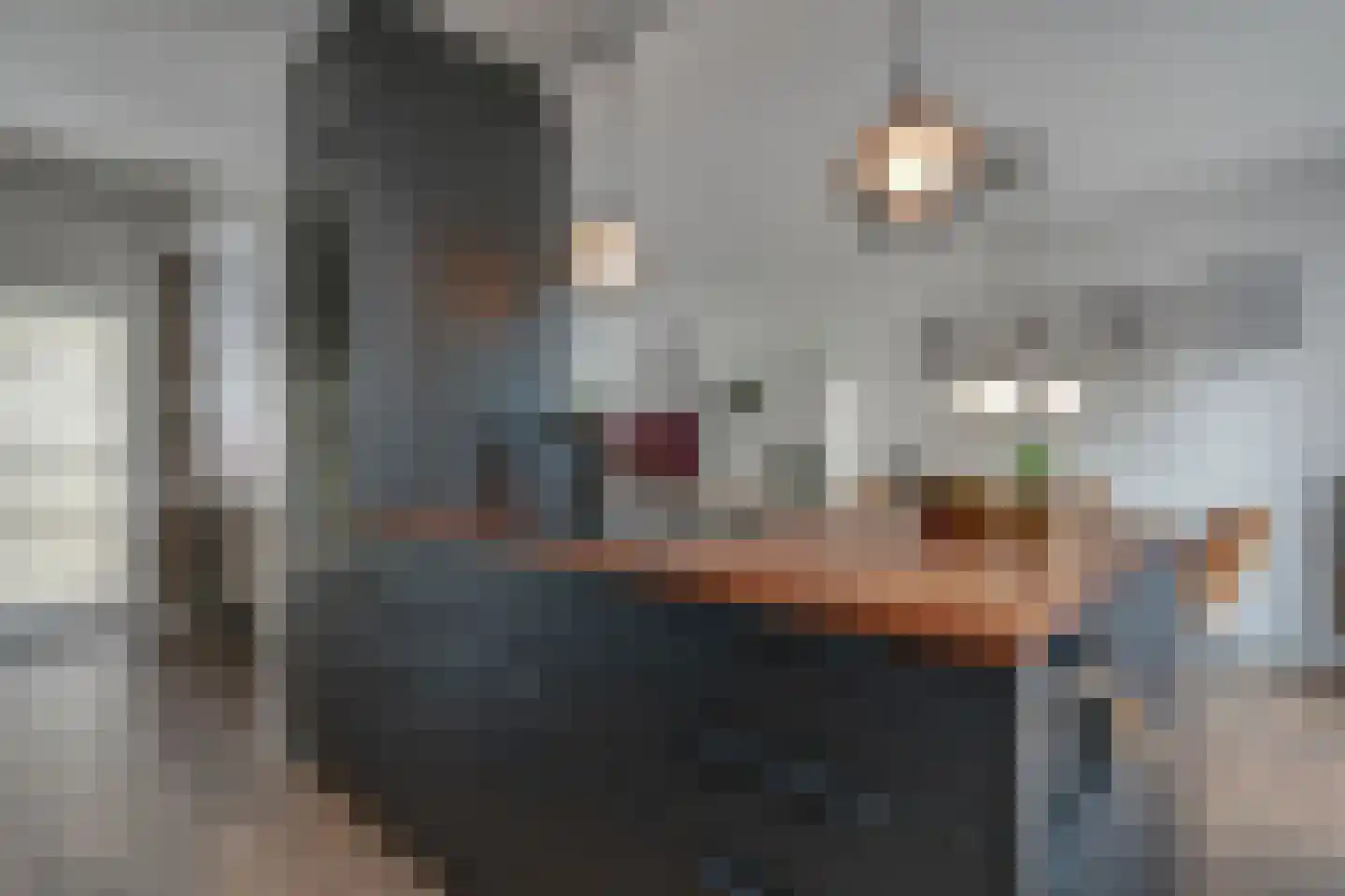 Lijsterbeslaan 35 Oudorp thumbnail 15