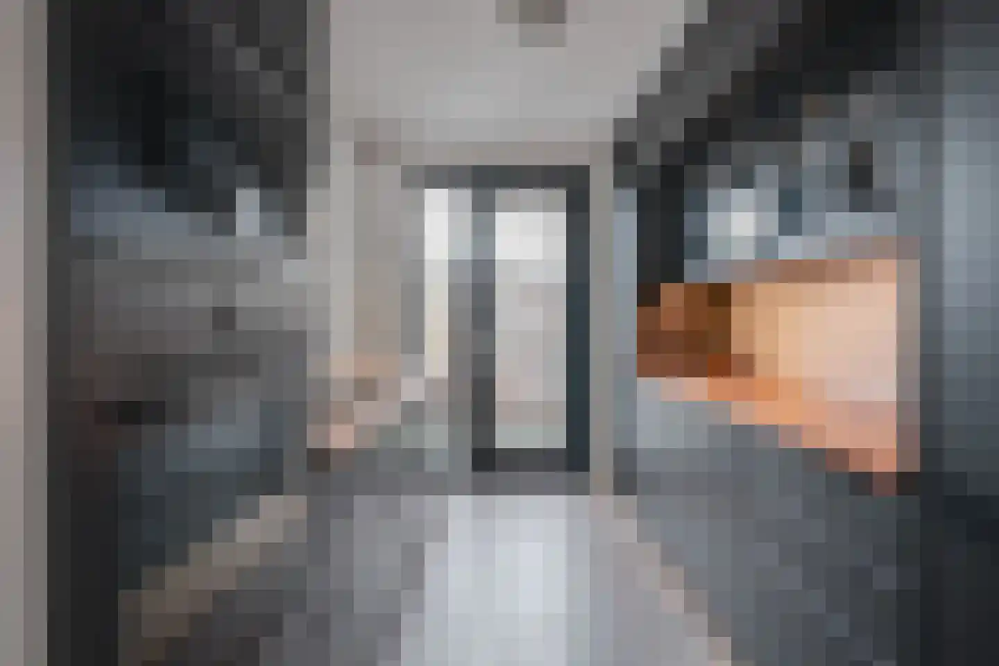Lijsterbeslaan 35 Oudorp thumbnail 18
