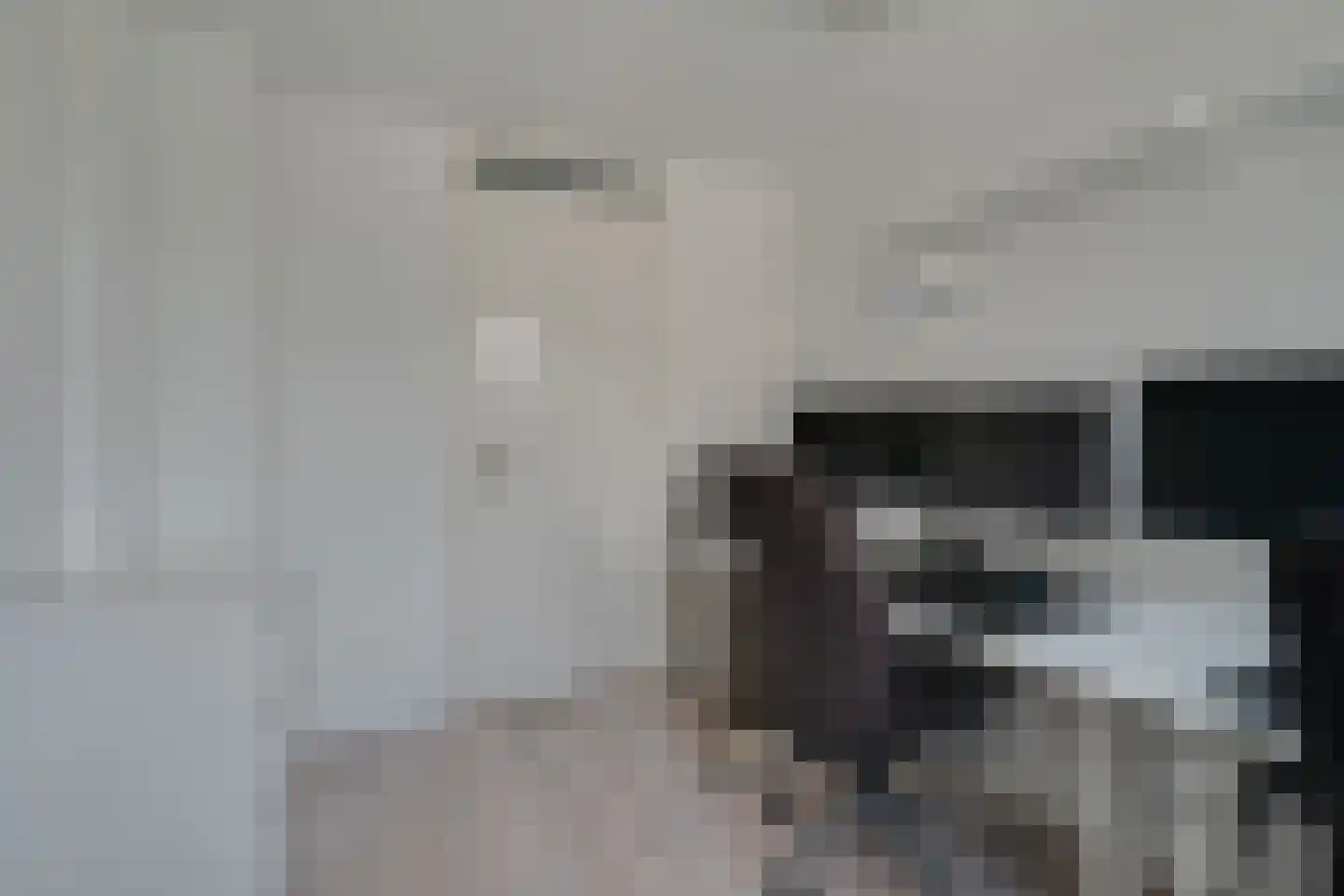 Lijsterbeslaan 35 Oudorp thumbnail 27