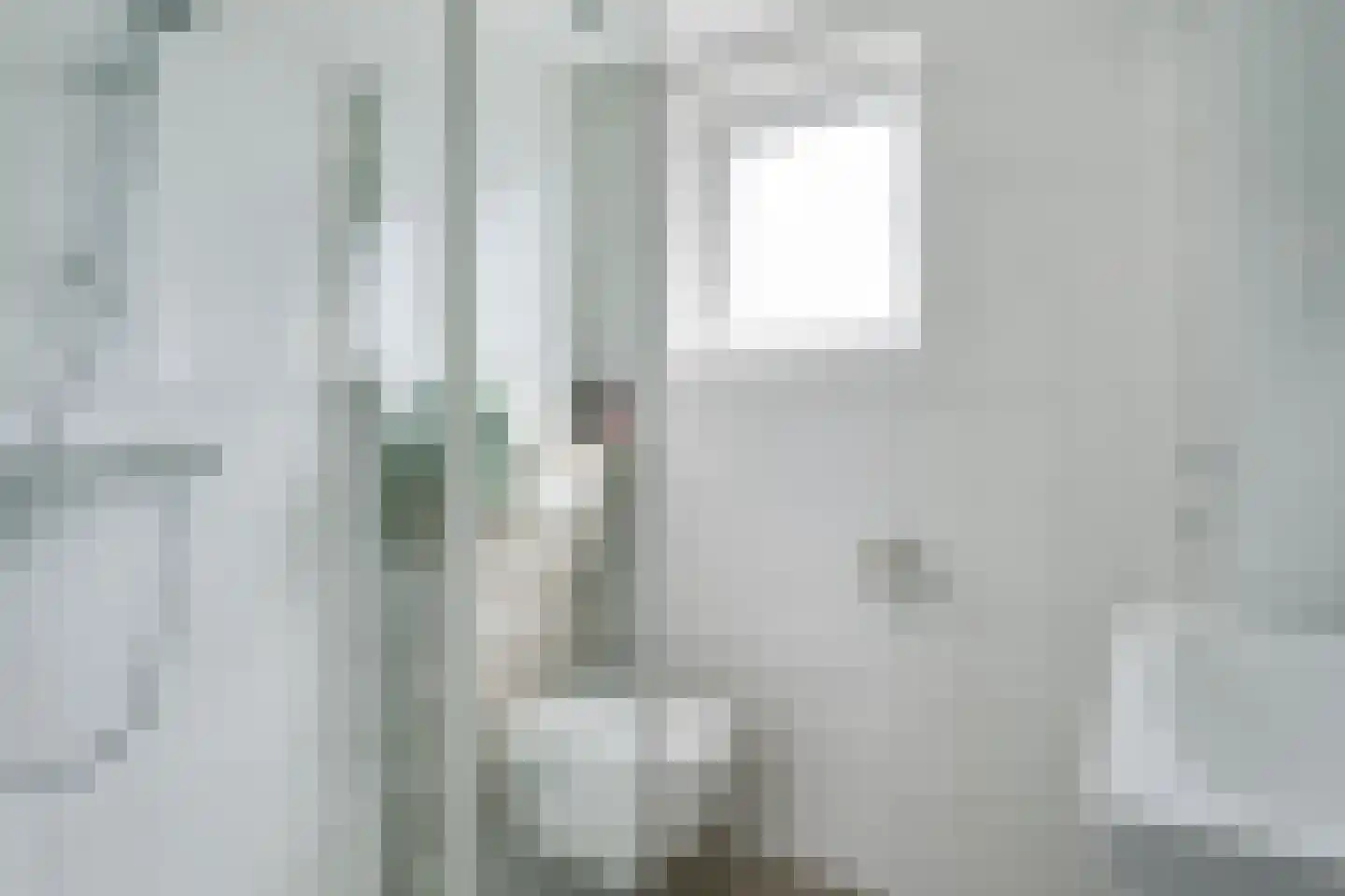 Lijsterbeslaan 35 Oudorp thumbnail 33