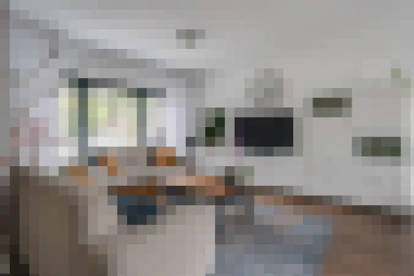 Lijsterbeslaan 35 Oudorp thumbnail 4