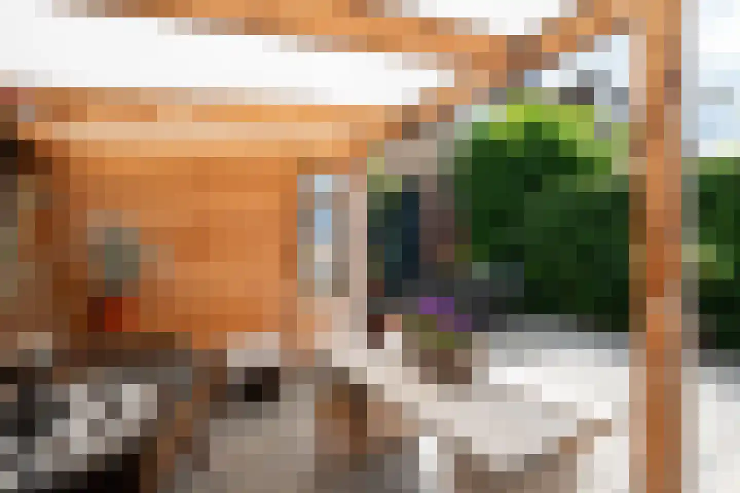 Lijsterbeslaan 35 Oudorp thumbnail 45