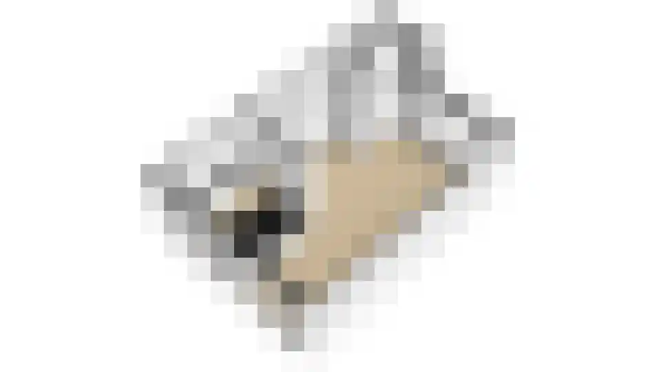 Lijsterbeslaan 35 Oudorp thumbnail 54