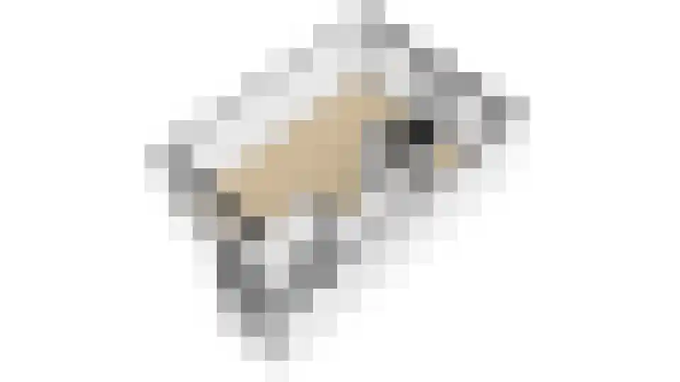 Lijsterbeslaan 35 Oudorp thumbnail 55