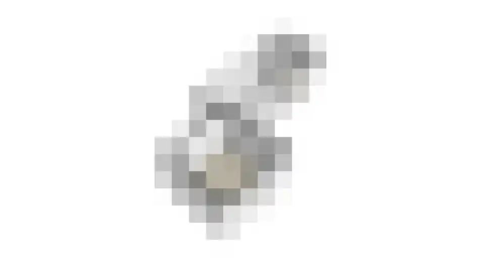 Lijsterbeslaan 35 Oudorp thumbnail 63
