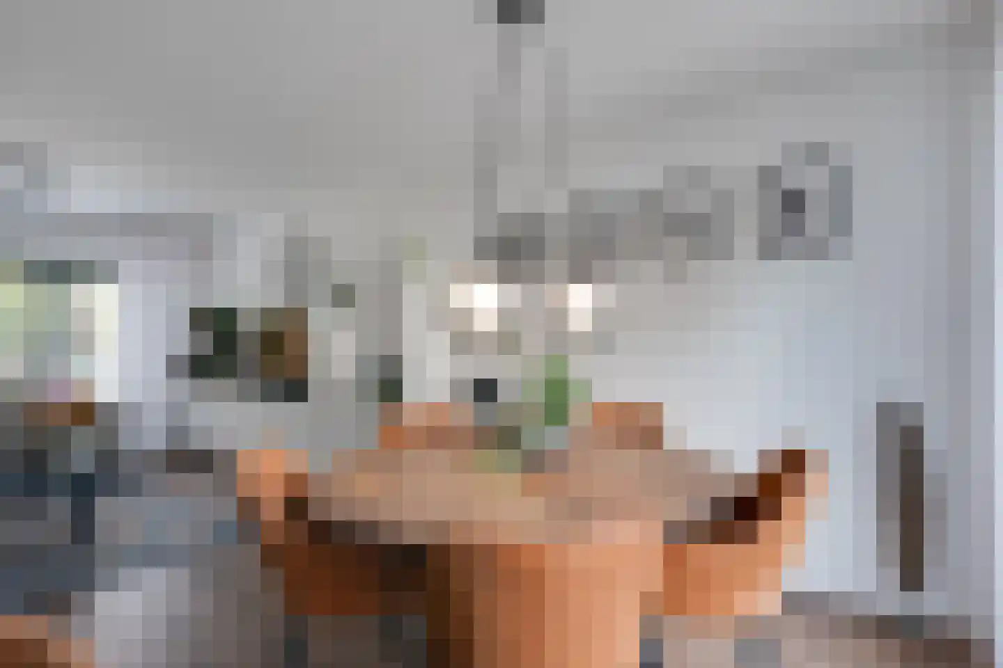 Lijsterbeslaan 35 Oudorp thumbnail 9