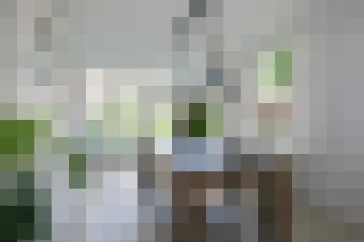 Lijsterbeslaan 37 Aalten thumbnail 10