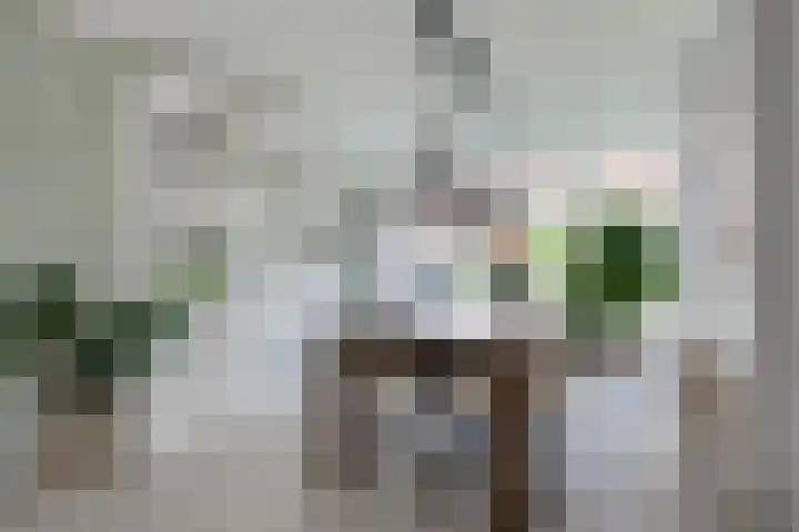 Lijsterbeslaan 37 Aalten thumbnail 11