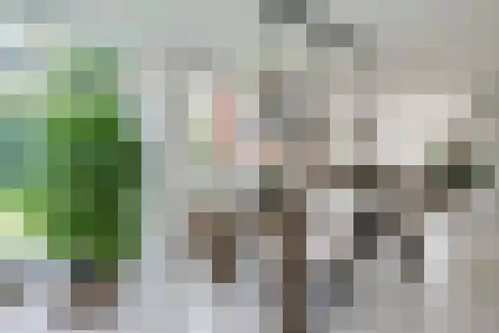 Lijsterbeslaan 37 Aalten thumbnail 13