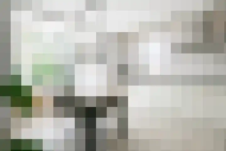Lijsterbeslaan 37 Aalten thumbnail 15