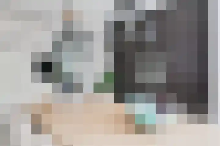 Lijsterbeslaan 37 Aalten thumbnail 18