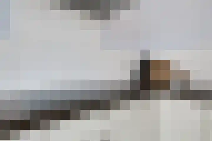 Lijsterbeslaan 37 Aalten thumbnail 23