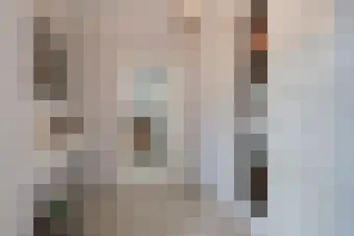 Lijsterbeslaan 37 Aalten thumbnail 25