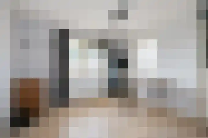 Lijsterbeslaan 37 Aalten thumbnail 37