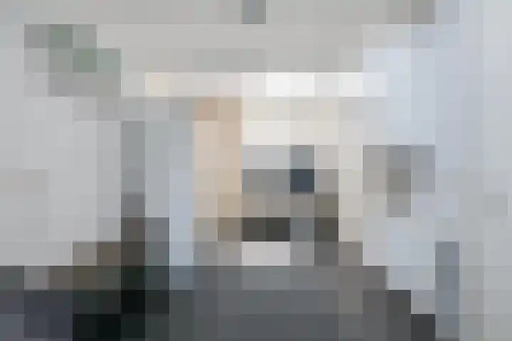 Lijsterbeslaan 37 Aalten thumbnail 47