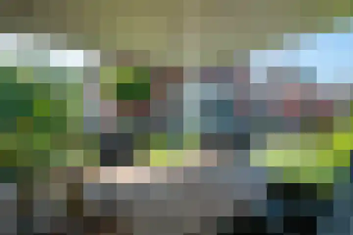 Lijsterbeslaan 37 Aalten thumbnail 55