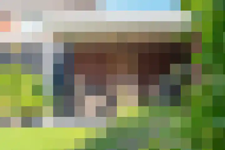 Lijsterbeslaan 37 Aalten thumbnail 56