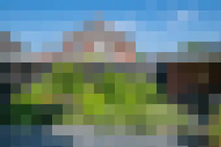 Lijsterbeslaan 37 Aalten thumbnail 57