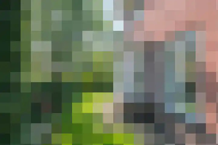 Lijsterbeslaan 37 Aalten thumbnail 60