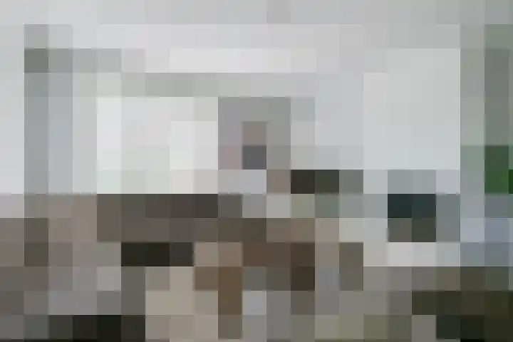 Lijsterbeslaan 37 Aalten thumbnail 7