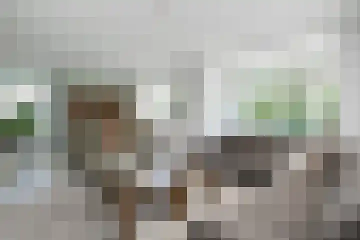 Lijsterbeslaan 37 Aalten thumbnail 8