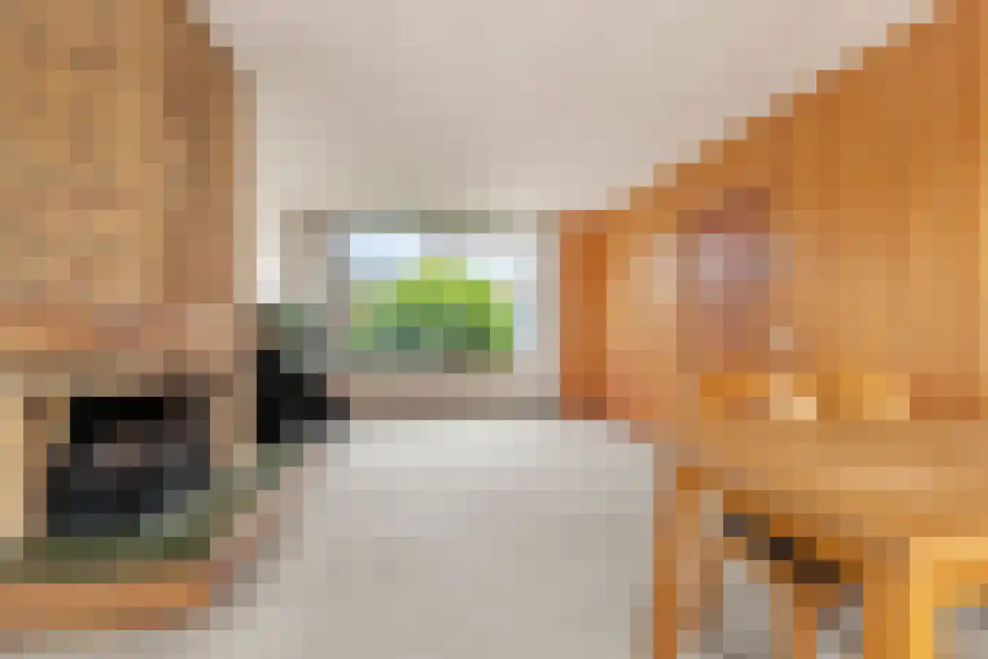 Lijsterbeslaan 4 Castricum thumbnail 11