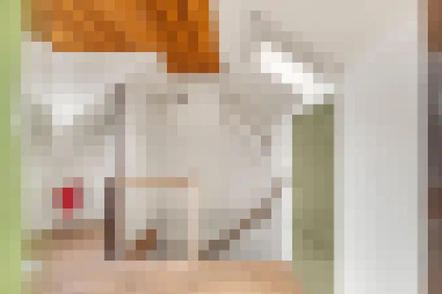 Lijsterbeslaan 4 Castricum thumbnail 36