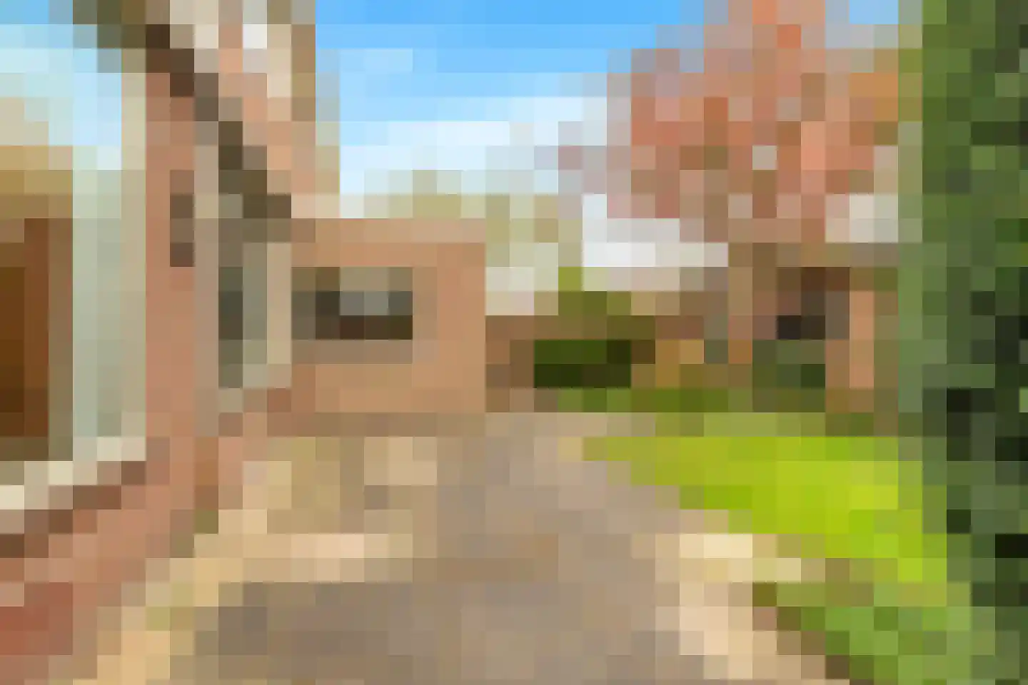 Lijsterbeslaan 4 Castricum thumbnail 41