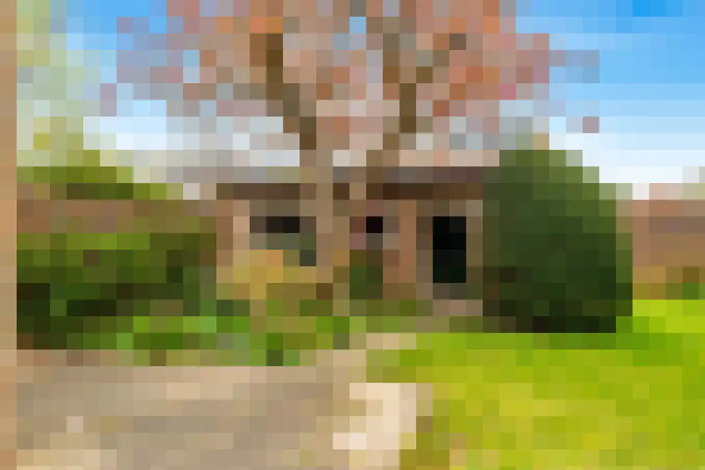 Lijsterbeslaan 4 Castricum thumbnail 43