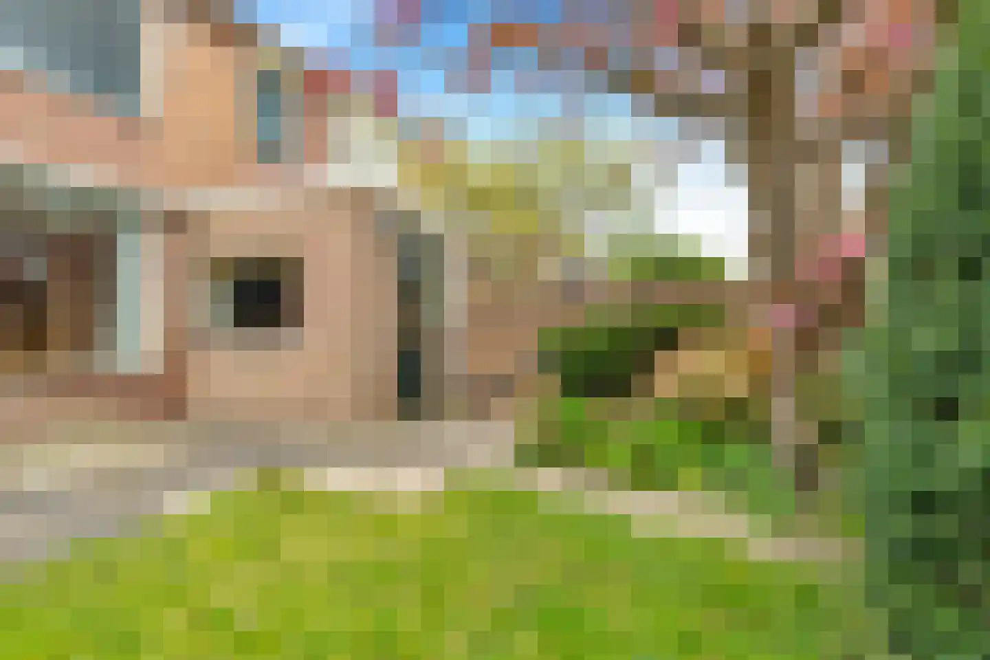 Lijsterbeslaan 4 Castricum thumbnail 46