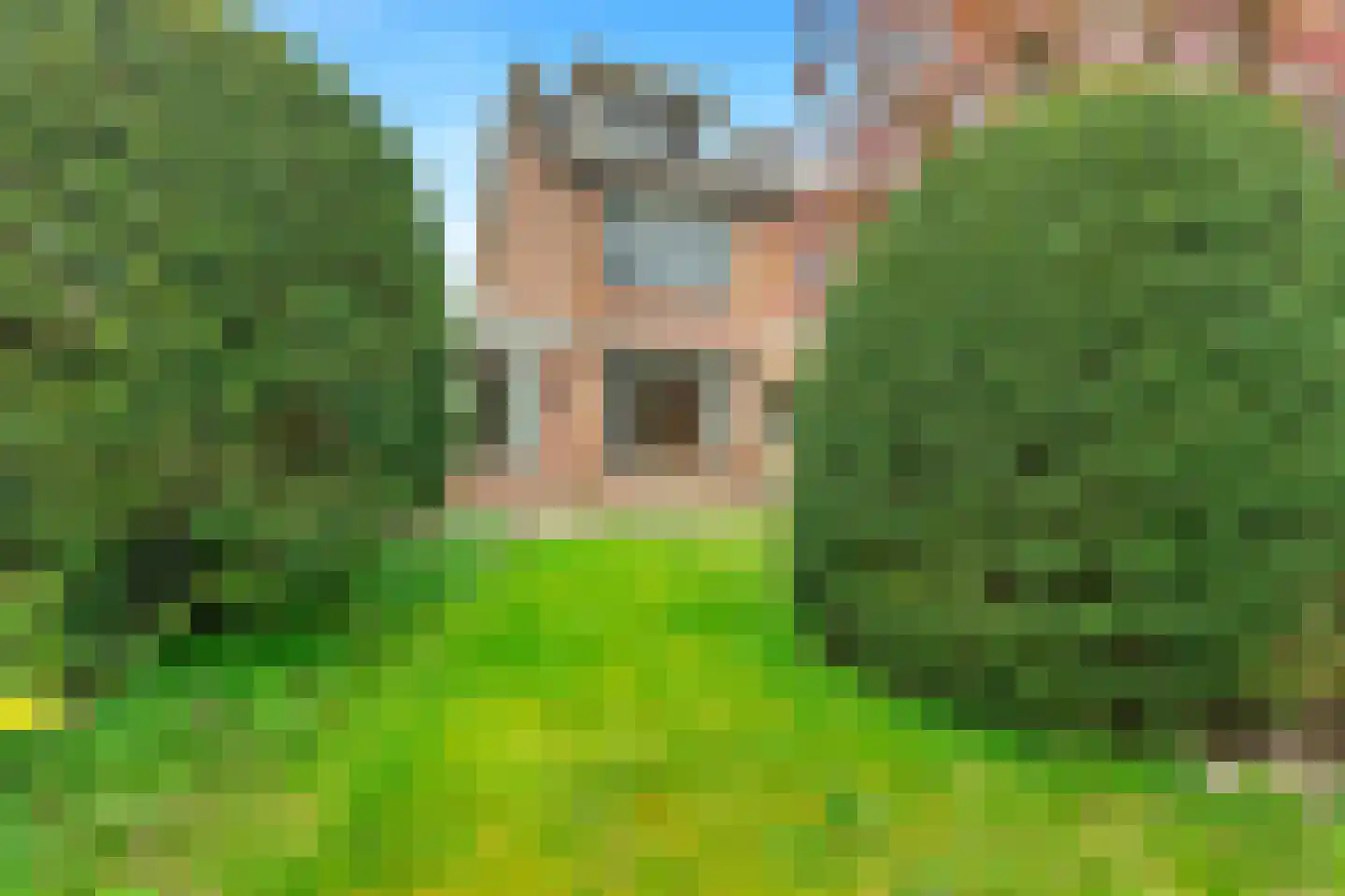 Lijsterbeslaan 4 Castricum thumbnail 47