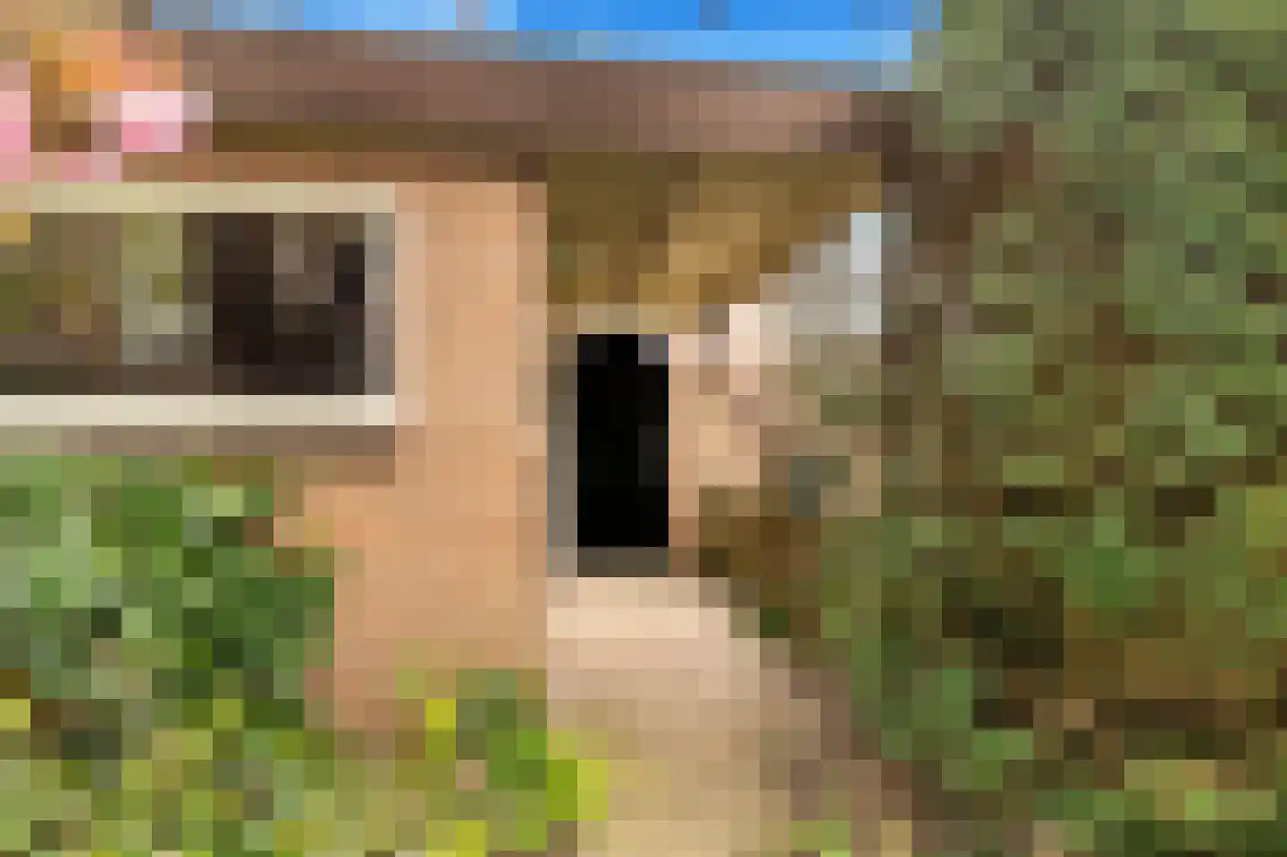 Lijsterbeslaan 4 Castricum thumbnail 48