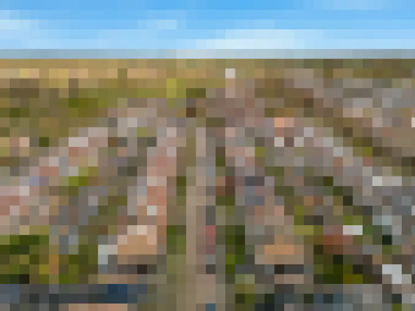Lijsterbeslaan 4 Castricum thumbnail 58