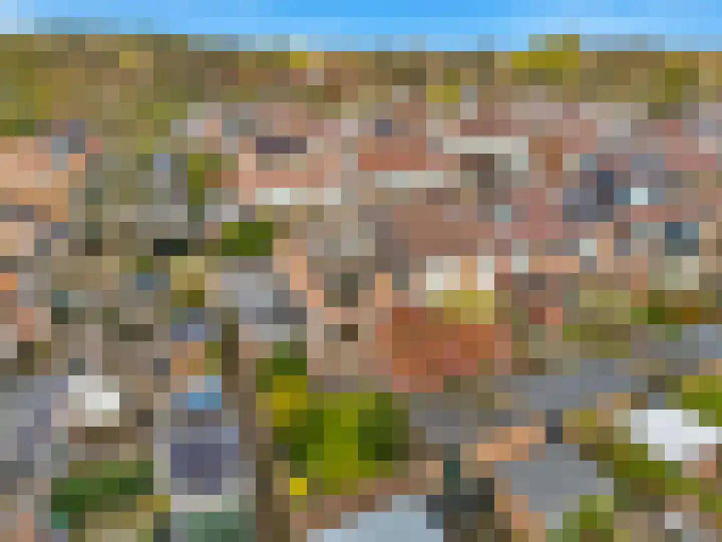 Lijsterbeslaan 4 Castricum thumbnail 59