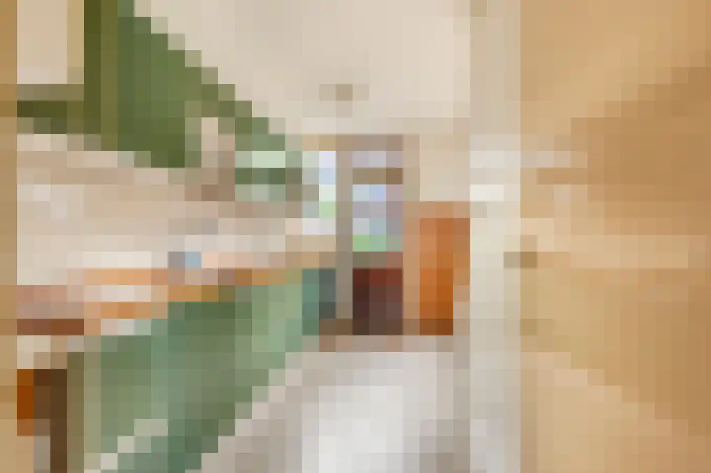 Lijsterbeslaan 4 Castricum thumbnail 6