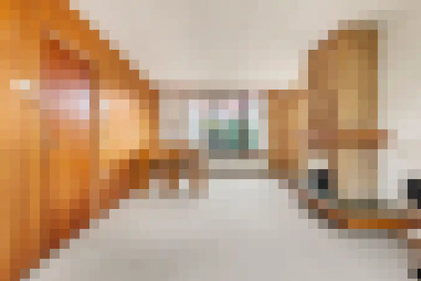 Lijsterbeslaan 4 Castricum thumbnail 9
