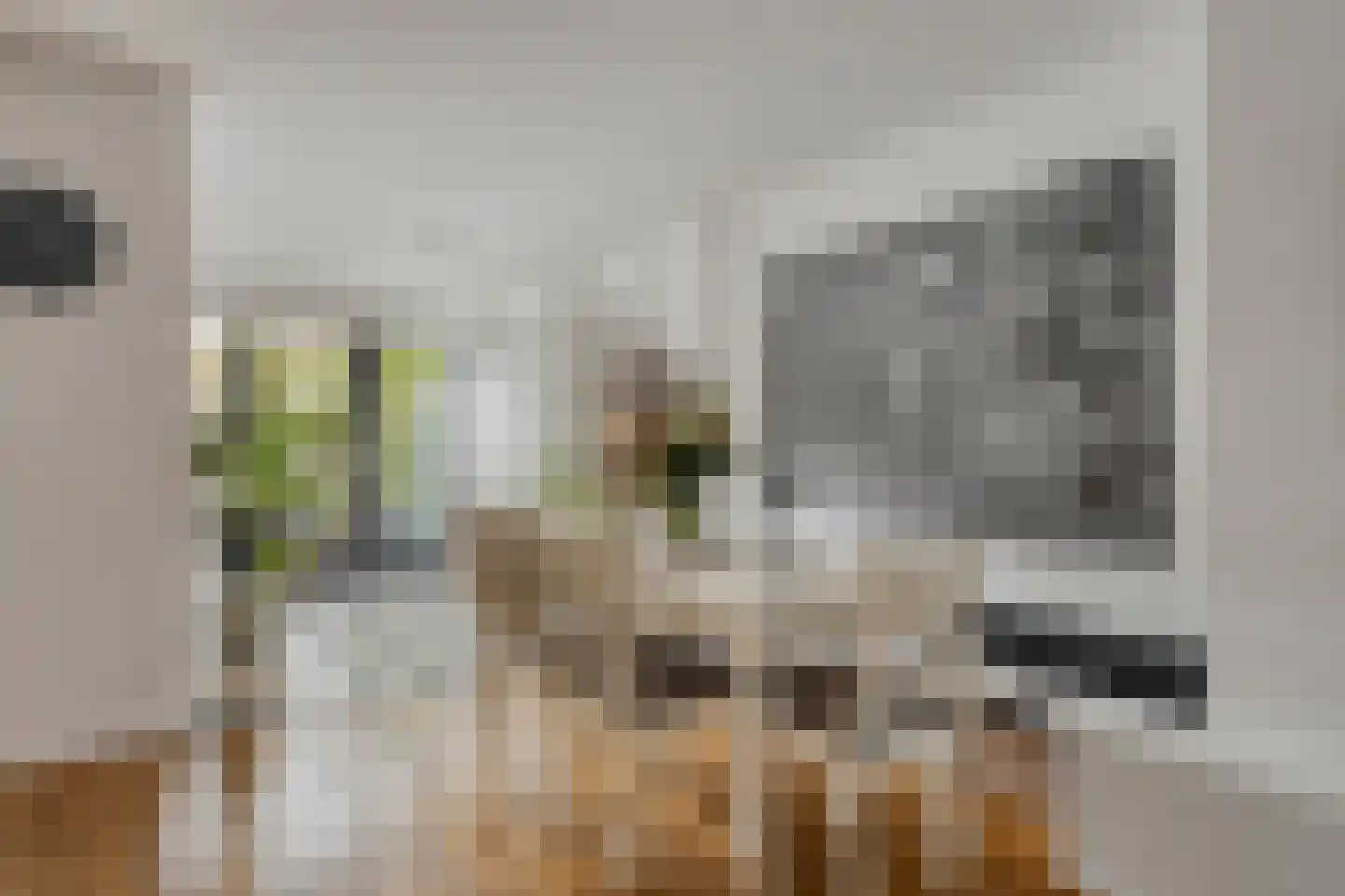 Lijsterbeslaan 4 Pijnacker thumbnail 10
