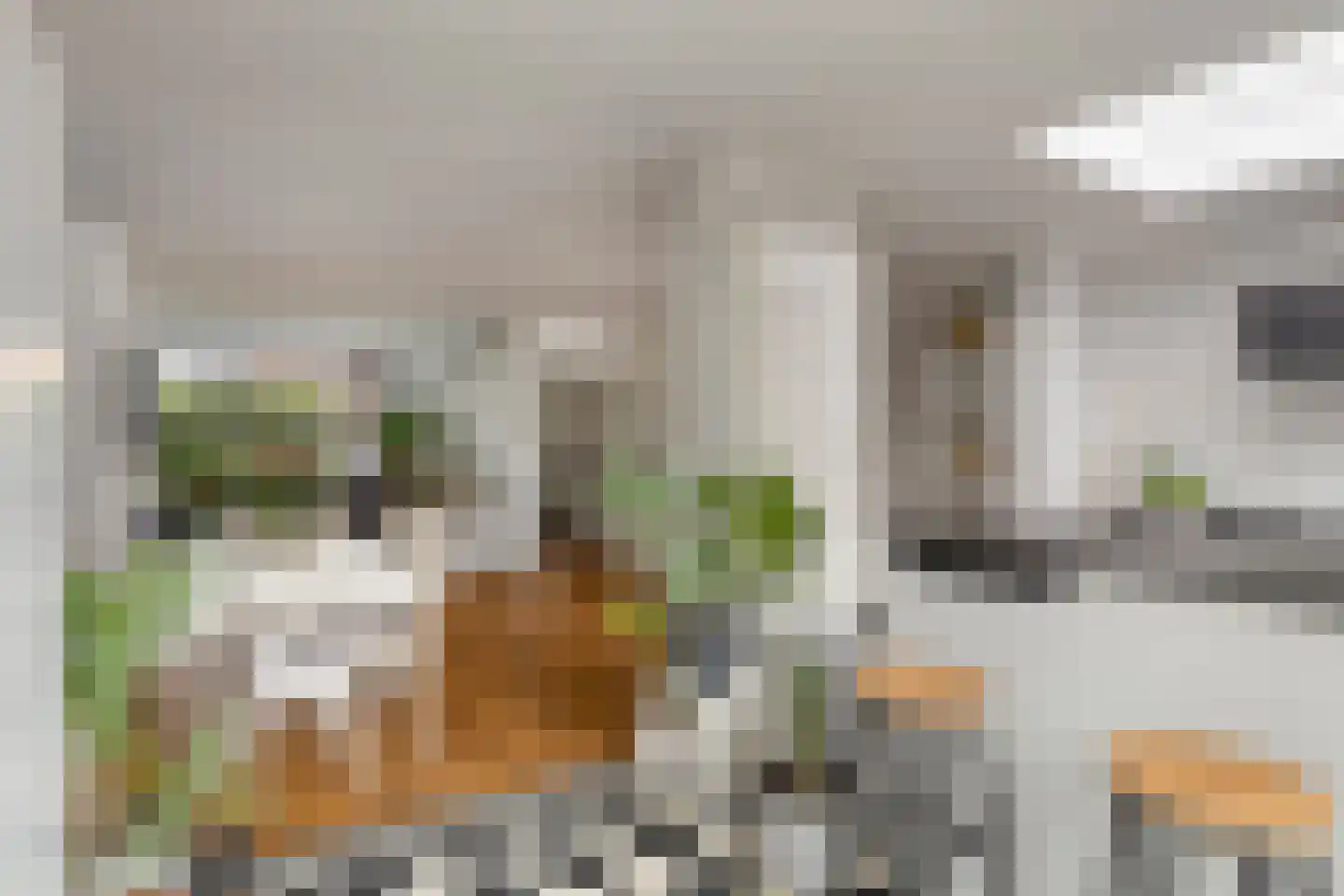 Lijsterbeslaan 4 Pijnacker thumbnail 11
